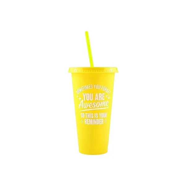 24OZ Colorful PP Straw Water Cup