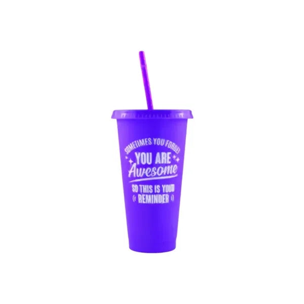 24OZ Colorful PP Straw Water Cup