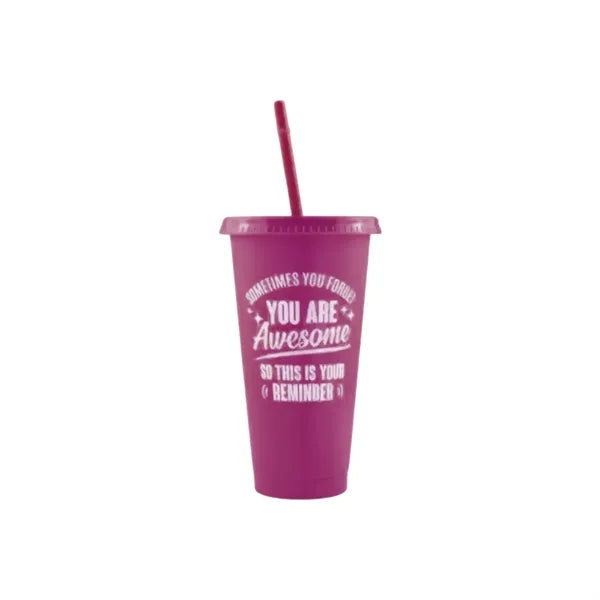 24OZ Colorful PP Straw Water Cup