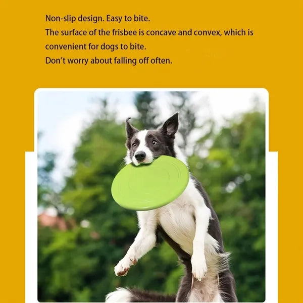 Durable Silicone Disc for Dog
