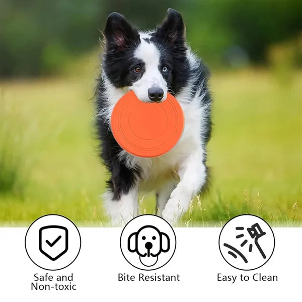 Durable Silicone Disc for Dog