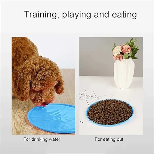Durable Silicone Disc for Dog
