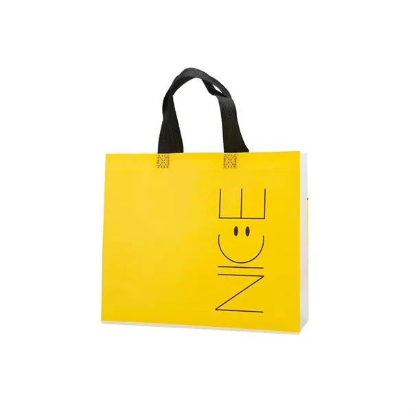 Large Premium Laminated Non - woven Shopping & Gift Bags