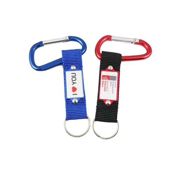 Steel Carabiner Key Tag With Logo Plate