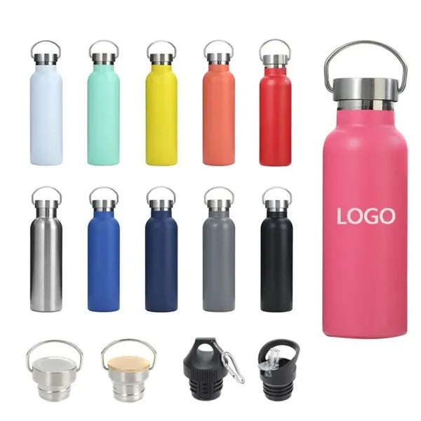 25oz Stainless Steel Water Bottle with Handle Lid