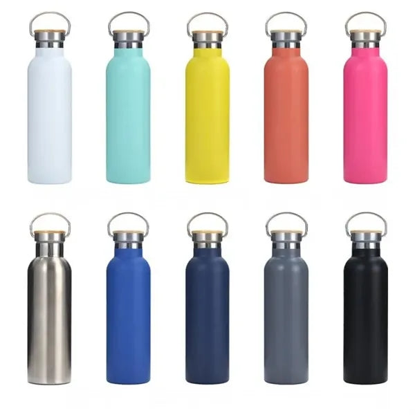 25oz Stainless Steel Water Bottle with Handle Lid