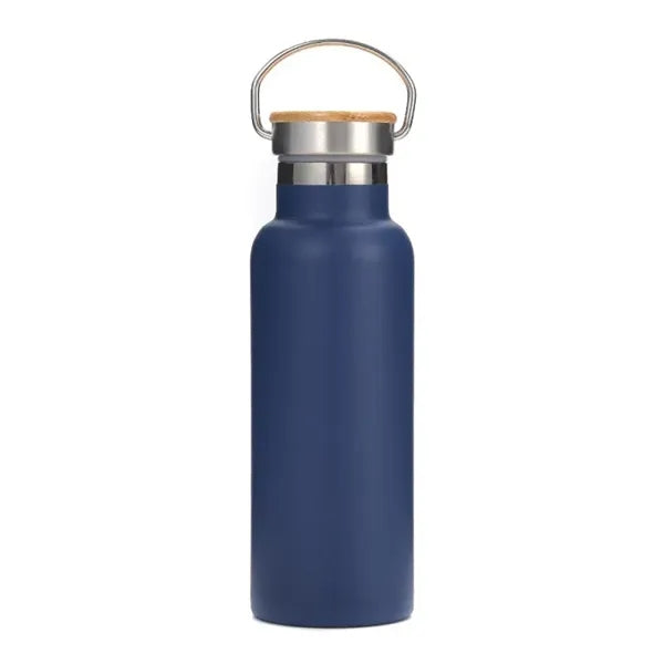 25oz Stainless Steel Water Bottle with Handle Lid