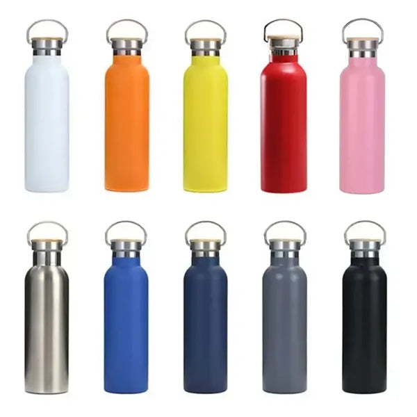 25oz Insulated Water Bottle with Top Handle