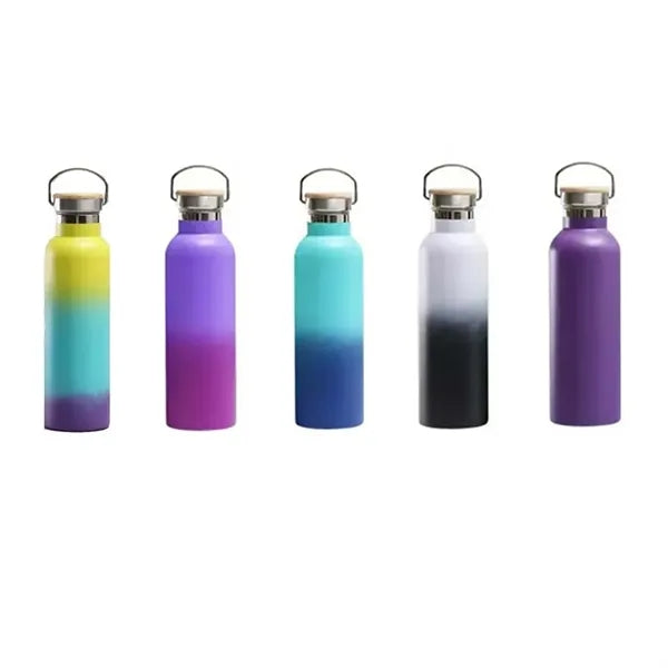 25oz Insulated Water Bottle with Top Handle
