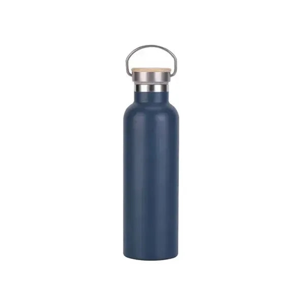 25oz Insulated Water Bottle with Top Handle