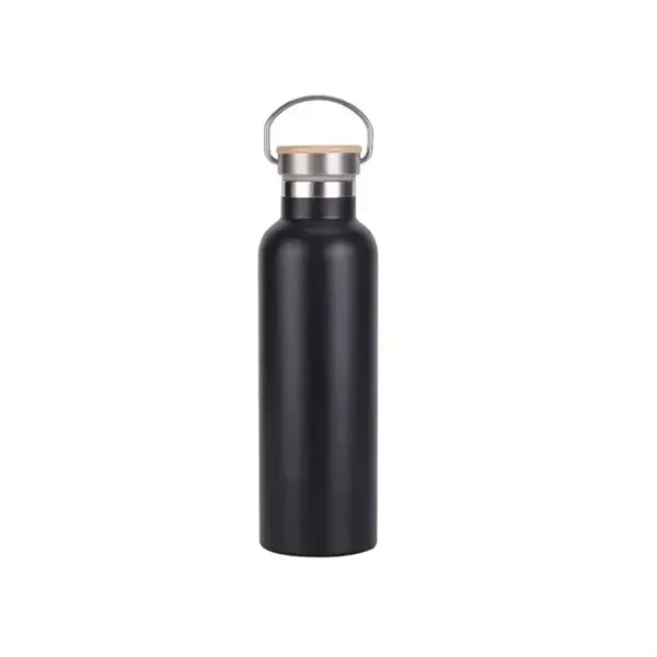 25oz Insulated Water Bottle with Top Handle