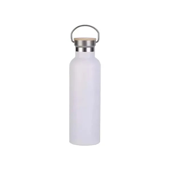 25oz Insulated Water Bottle with Top Handle