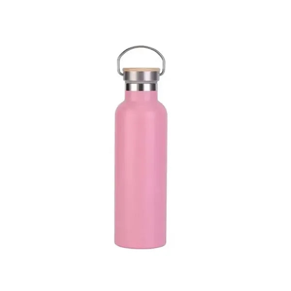 25oz Insulated Water Bottle with Top Handle