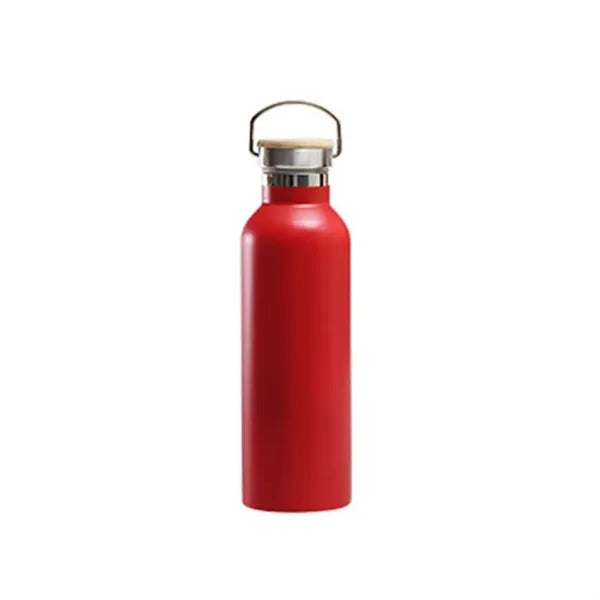 25oz Insulated Water Bottle with Top Handle