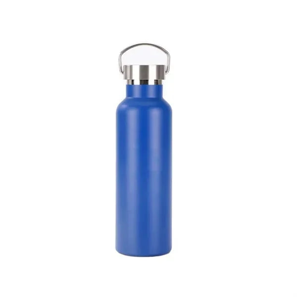 25oz Insulated Water Bottle with Top Handle