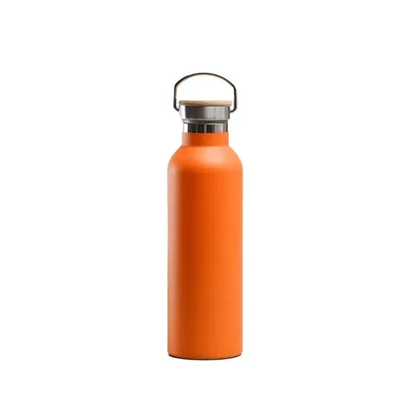 25oz Insulated Water Bottle with Top Handle