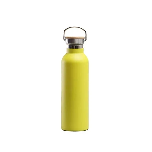 25oz Insulated Water Bottle with Top Handle