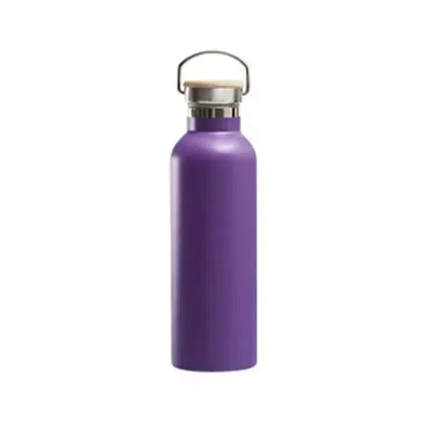 25oz Insulated Water Bottle with Top Handle