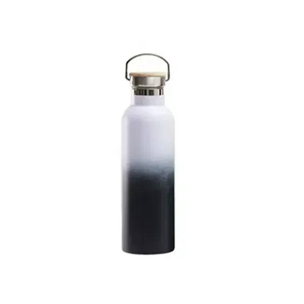 25oz Insulated Water Bottle with Top Handle