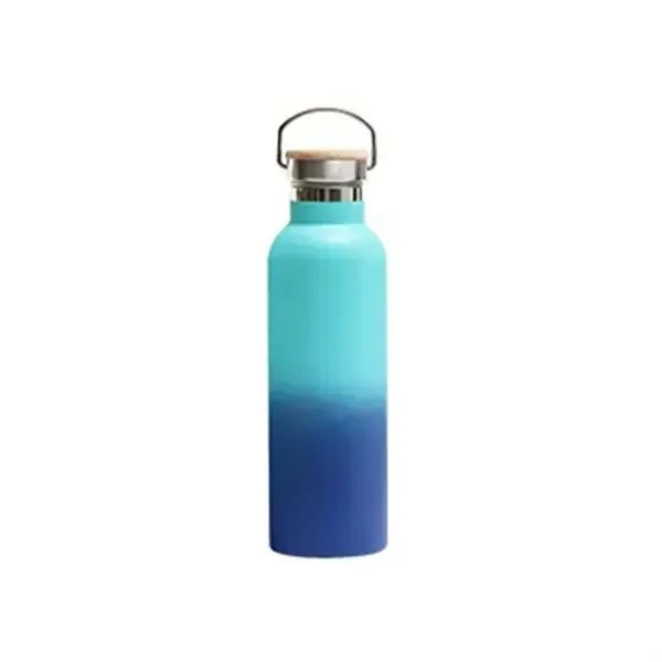 25oz Insulated Water Bottle with Top Handle