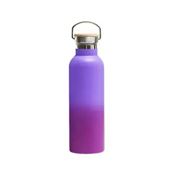 25oz Insulated Water Bottle with Top Handle