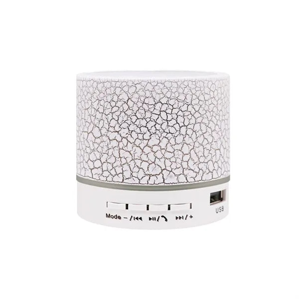 Portable Mini Speaker