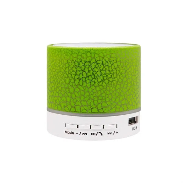 Portable Mini Speaker