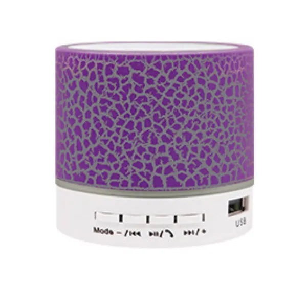 Portable Mini Speaker