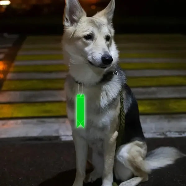 Reflective Safety Tag with Ball Chain for Visibility