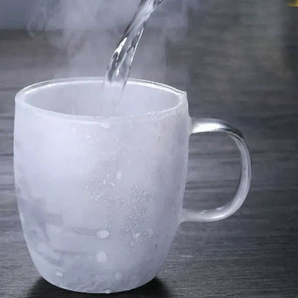 Double Wall Insulated Glass Coffee Mug with Handle
