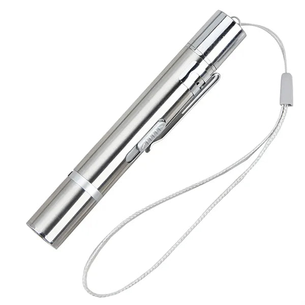 Rechargeable 5 Adjustable Training Pet Pointer