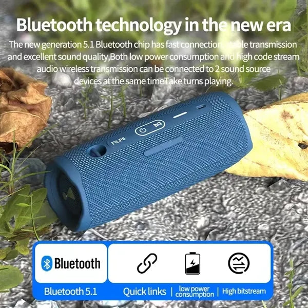 Portable Bluetooth Speaker