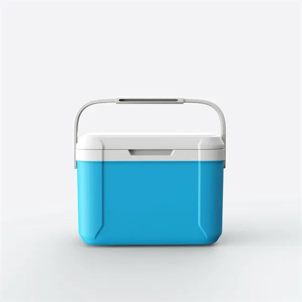 5L Mini Insulated Hard Cooler Lunch Box For Outdoor Sports