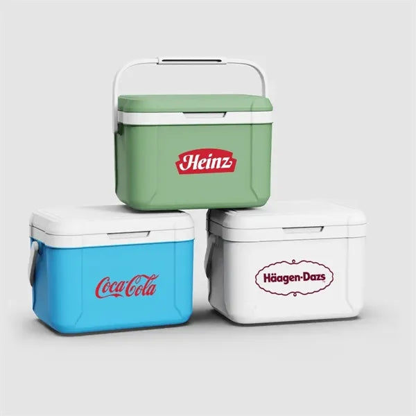 5L Mini Insulated Hard Cooler Lunch Box For Outdoor Sports