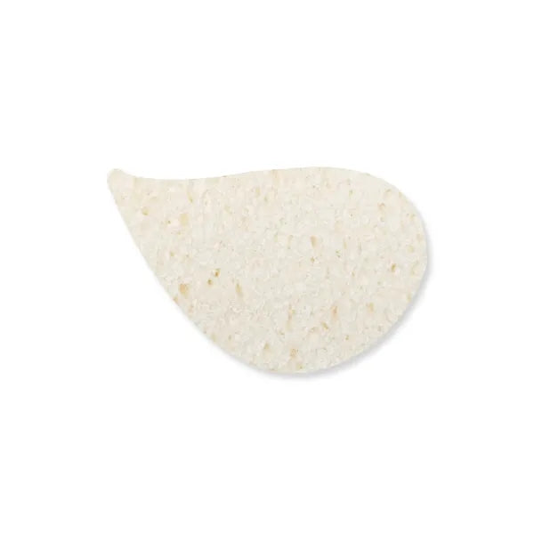 Expand-It Sponge - Leaf