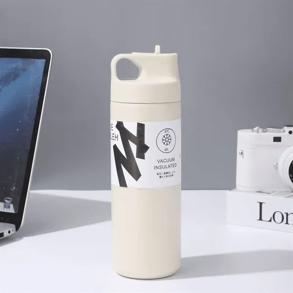 18 oz Stainless Steel Insulated Travel Mug with Straw Spout