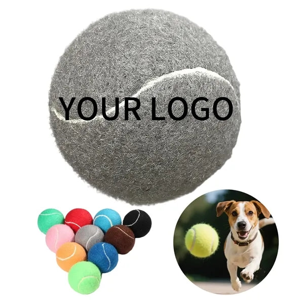 Dog Training Ball