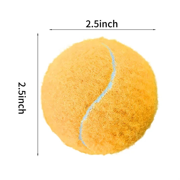 Dog Training Ball