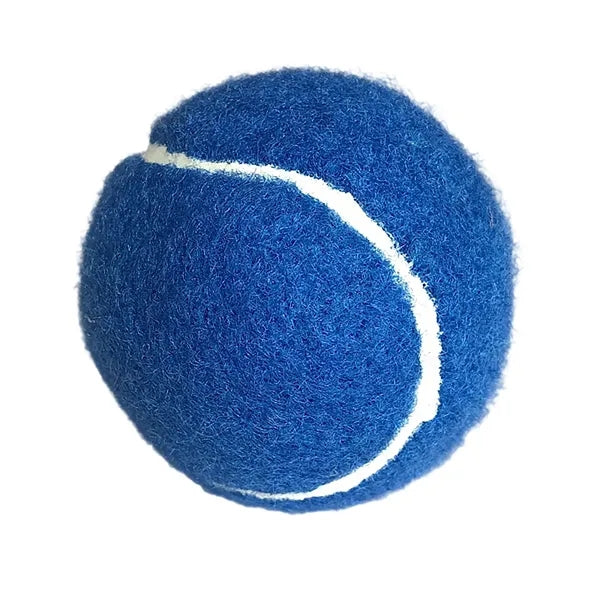Dog Training Ball