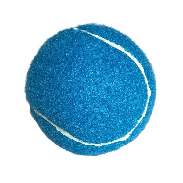 Dog Training Ball