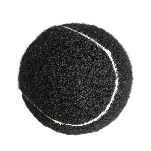 Dog Training Ball