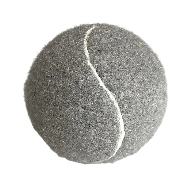 Dog Training Ball