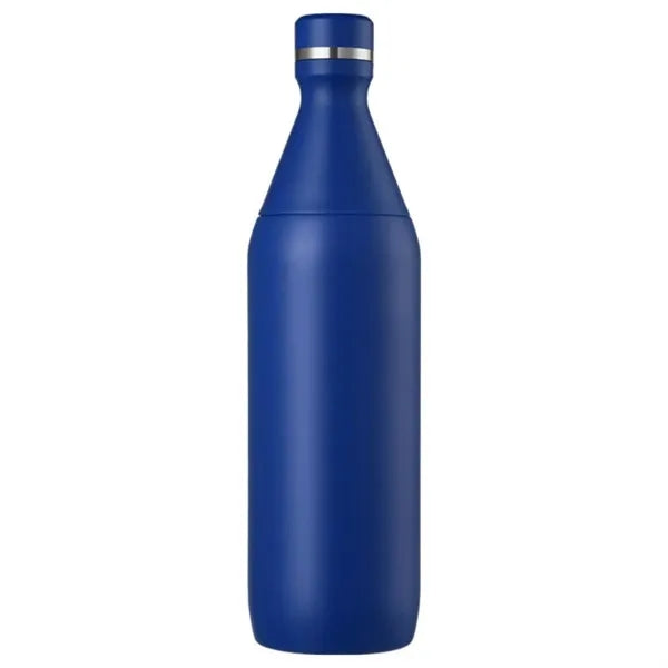 Insulated Stainless Steel Water Bottle