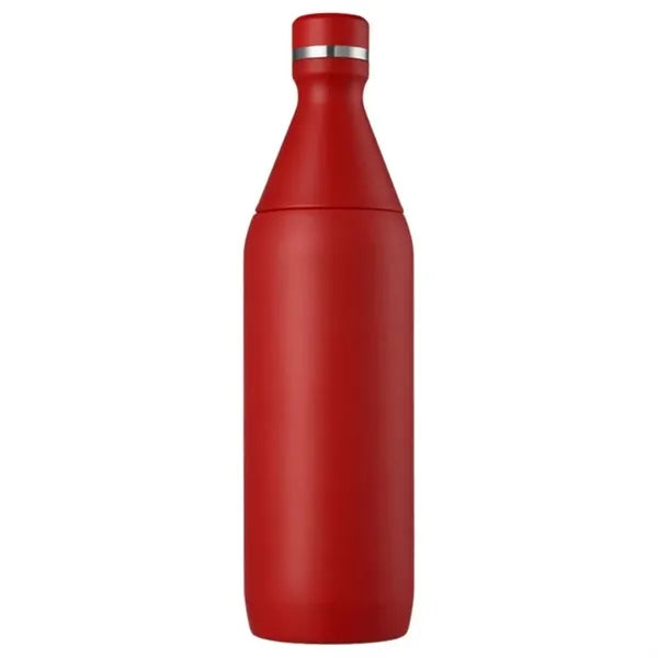 Insulated Stainless Steel Water Bottle