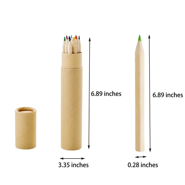 12 Pack Colored Pencils Bulk with a Tube