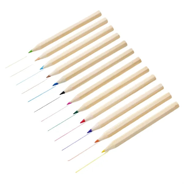 12 Pack Colored Pencils Bulk with a Tube
