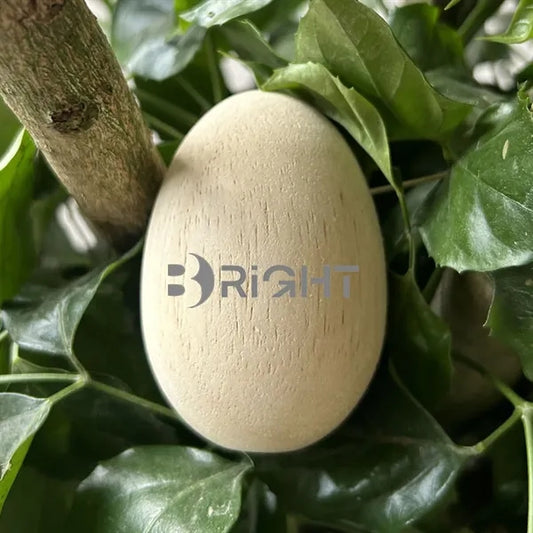 Shake to Sound Wooden Easter Eggs