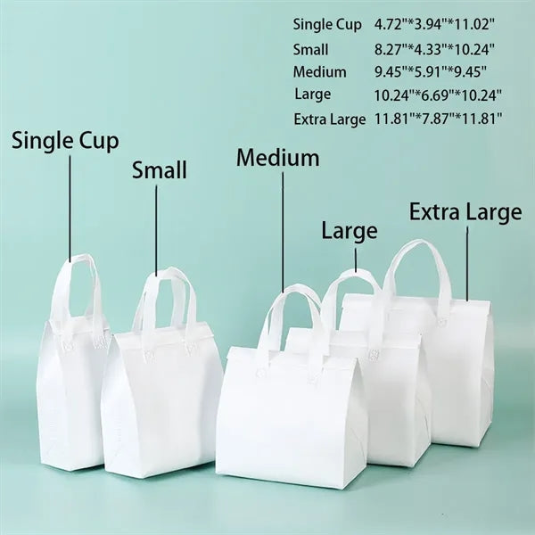 Hand Held Portable Waterproof Insulated Bag