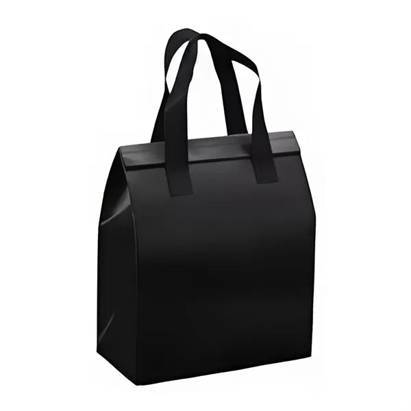 Hand Held Portable Waterproof Insulated Bag