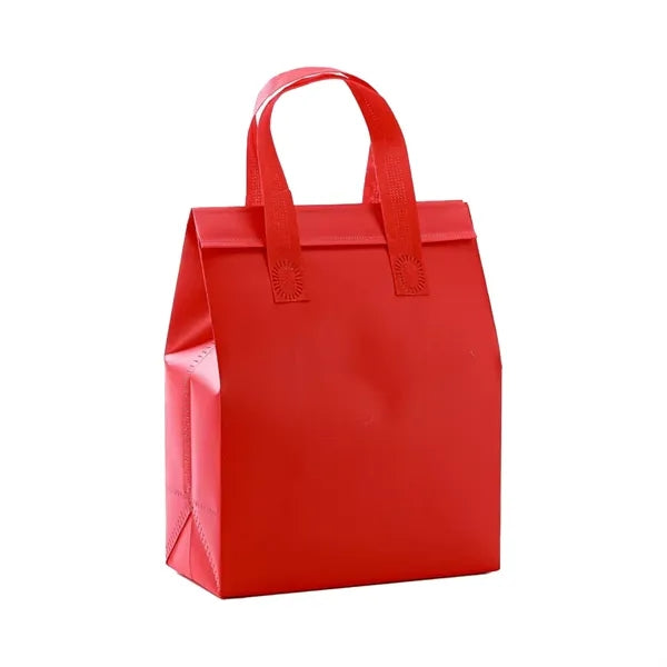 Hand Held Portable Waterproof Insulated Bag